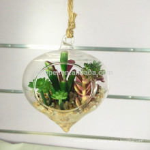 bonsaï de plante succulente artificielle en verre transparent suspendu vif